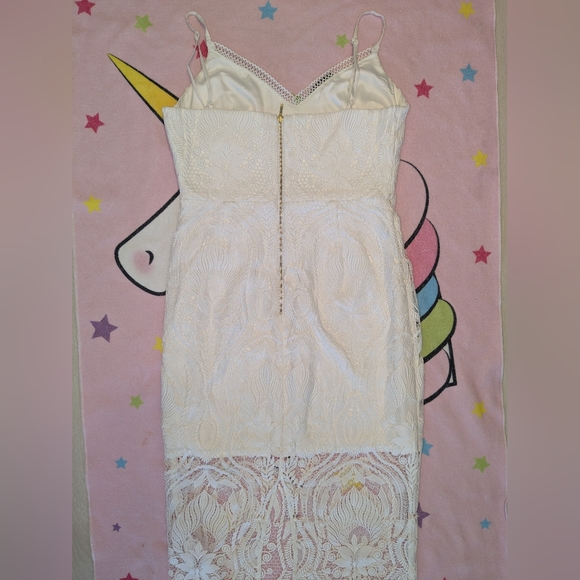 Ever New sexy lace dress for summer - Picture 3 of 5